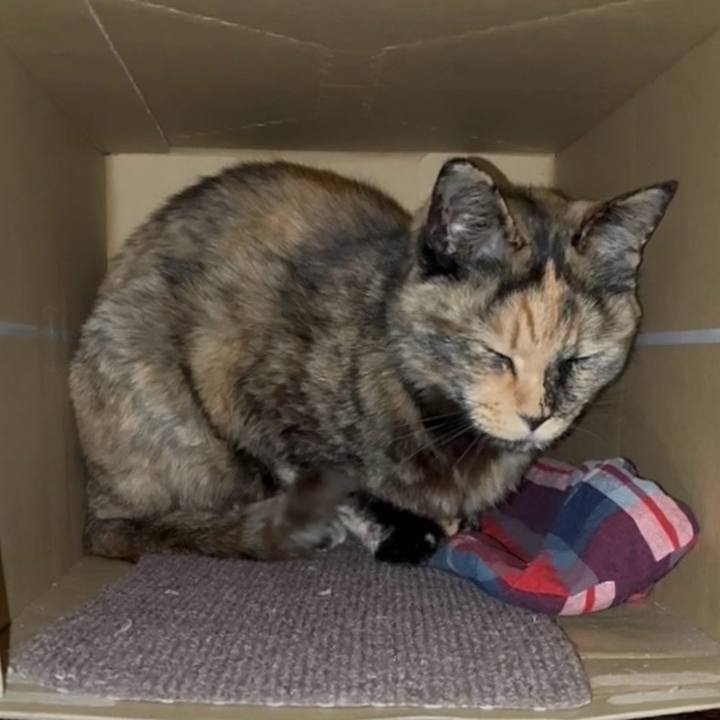 1afeb90c 6aa7 4ac1 8d7e 60035518bba4 1746472214213