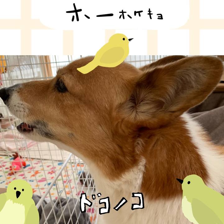 1afec26c be5d 410d 9098 c4fea2519412 1711000866066