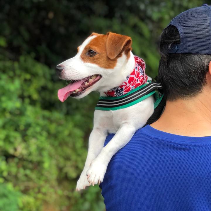 1afec8e5 1f21 4f30 a422 dc22a71971a3 1596328479081