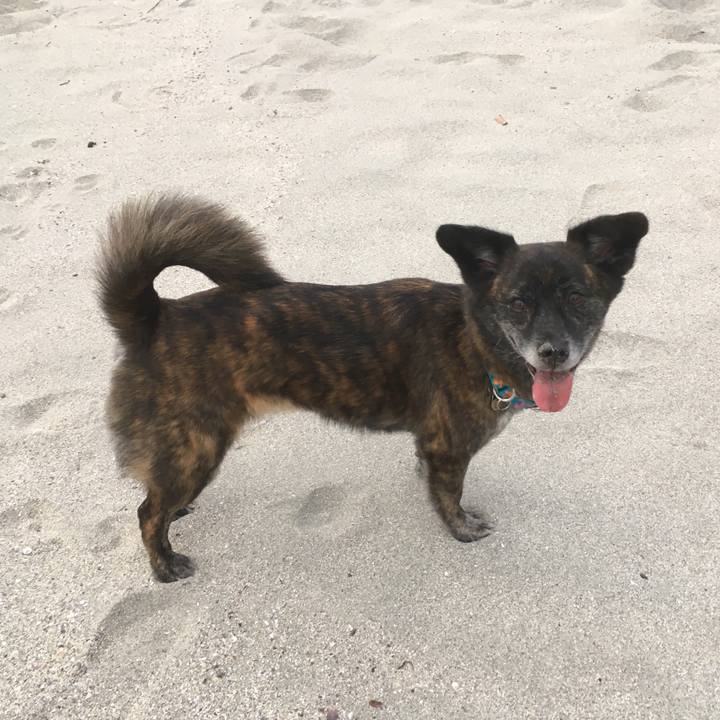 1afee30a 8499 40e0 aa1b be0f3c514a2b 1559475178122