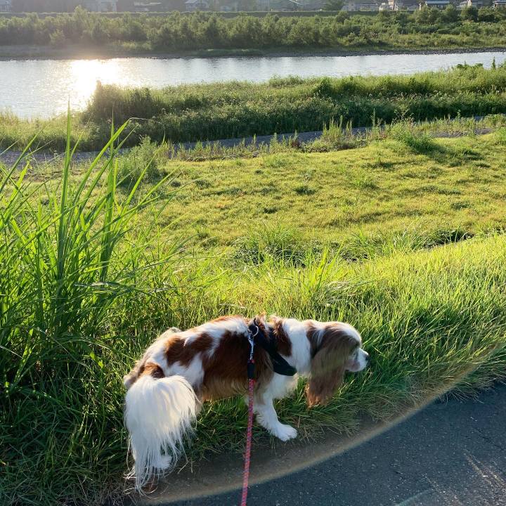 1aff4236 b777 43af 8fe7 4ef9c08659d2 1597787511446