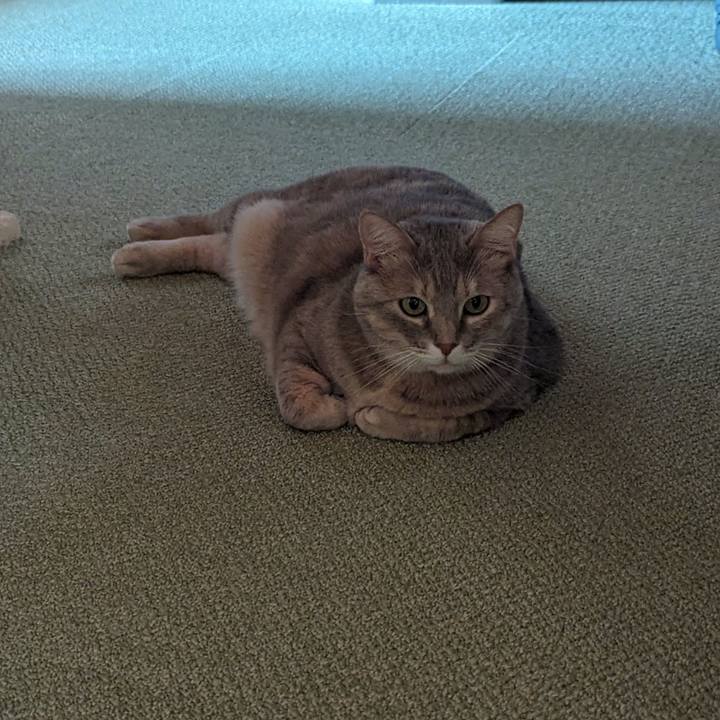 1aff6090 3e8c 4cf5 add5 0ac392c5a76c 1702107579029