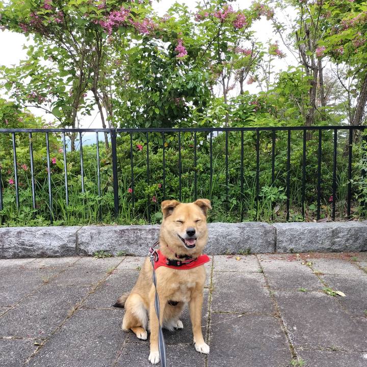 1affd9f5 c1be 470b 9a28 0b1d66aff6d5 1716120343894