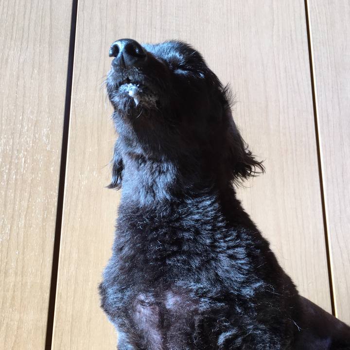 1afff5ba 44e2 4fcd a1c3 9697bceb5143 1542411785141