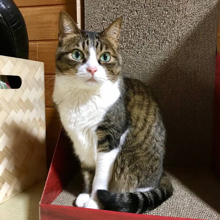 1b0013d4 c09a 42fa 9f30 69f8788d0ac9 1525959332197