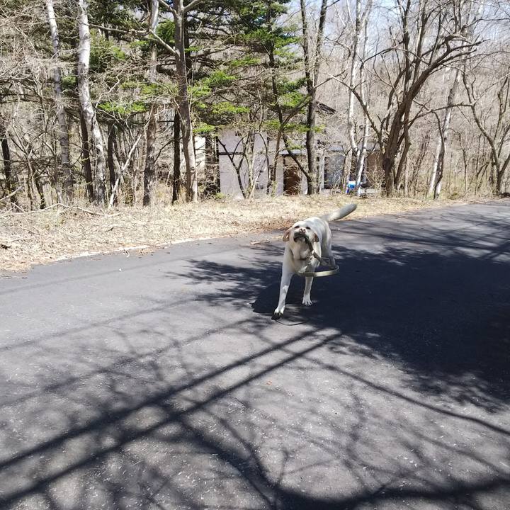 1b001fdf 3312 4db4 ae5e b25888f71ead 1557280804304