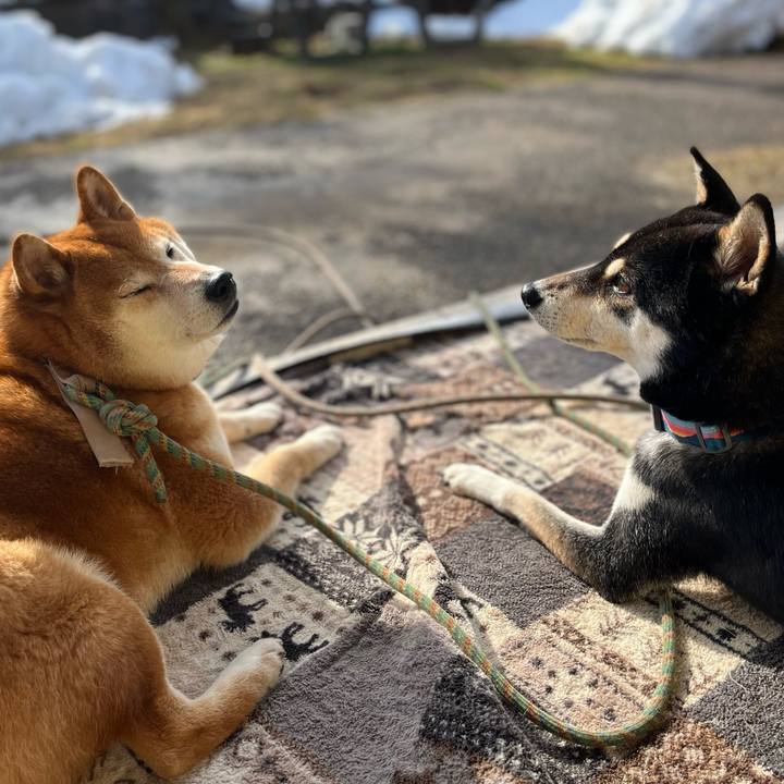 1b005b12 8bab 4b27 94d7 08dc063dbdef 1643532602412