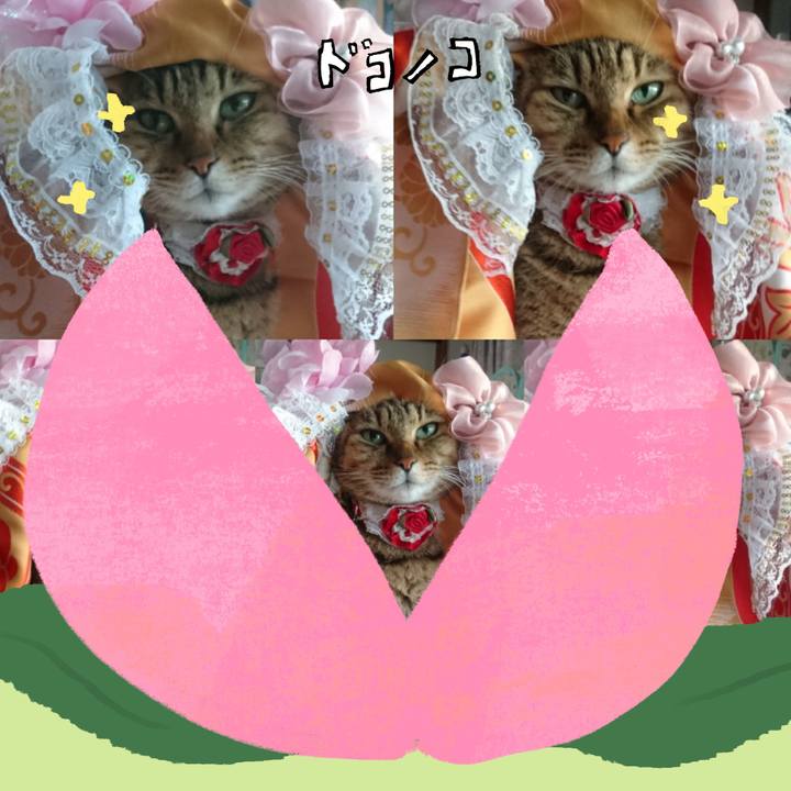 1b006940 5036 414e 93a1 8ed029b174ee 1772062996277