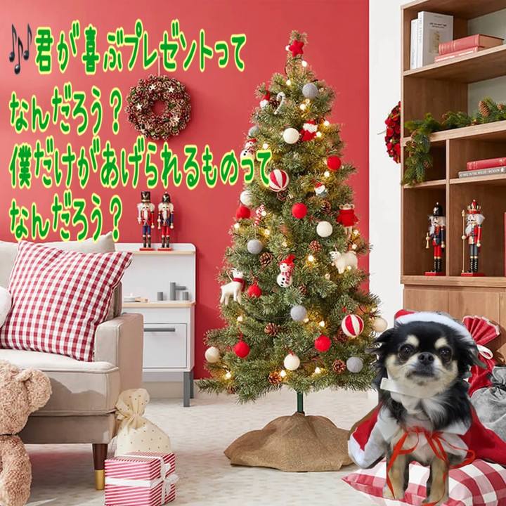 1b00ad12 e4d1 4bff b540 bcbf66ccef02 1639867406917