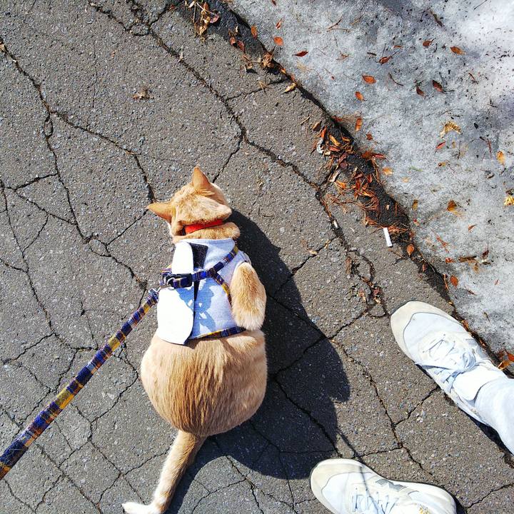 1b00beb6 e060 418b 9856 75fccd379521 1584770925804