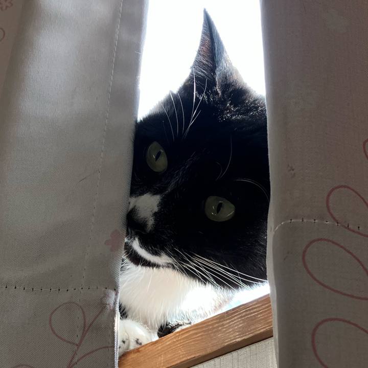 1b00cefd 5457 43f0 ba40 c9c8e27f6a72 1670298076074