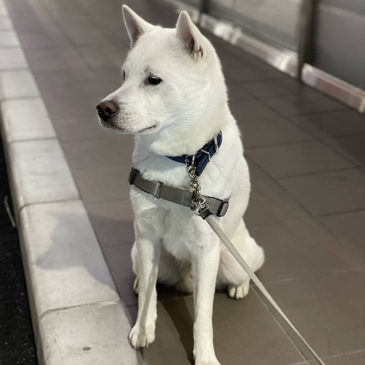 1b010910 6557 4f27 b4d3 27da931eecff 1640523160164