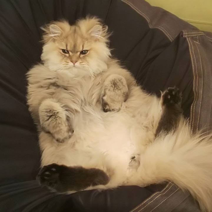 1b011655 e7d7 4861 8bb6 7755e80679a7 1580685982592