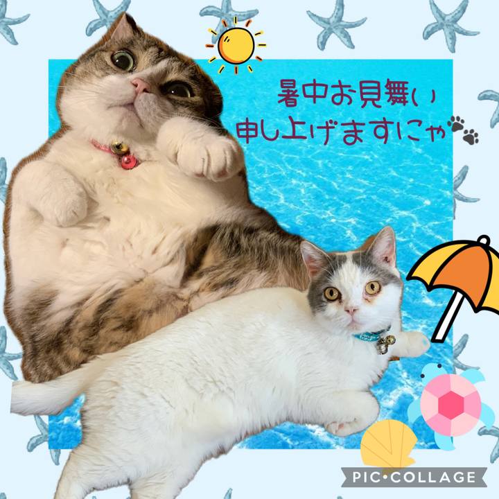 1b0180d3 55ea 4b53 b7e4 668b0675b373 1690416773514