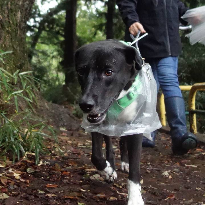 1b01b6e9 f610 41af ae7d 46465e27ca6f 1602113943616