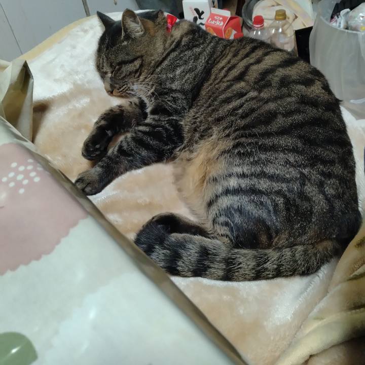 1b01e252 b3a9 4907 b660 e56d211043bf 1704629055925