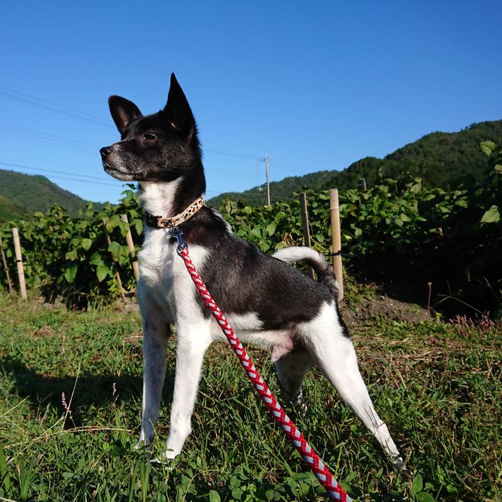 1b01ea08 cbce 41cc 9217 970942385426 1570579056523