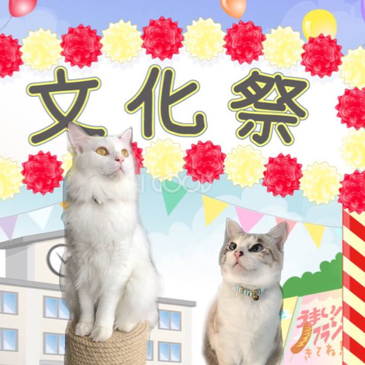 1b01f051 45cb 46b8 b55c eae3de2dfd14 1541244631284