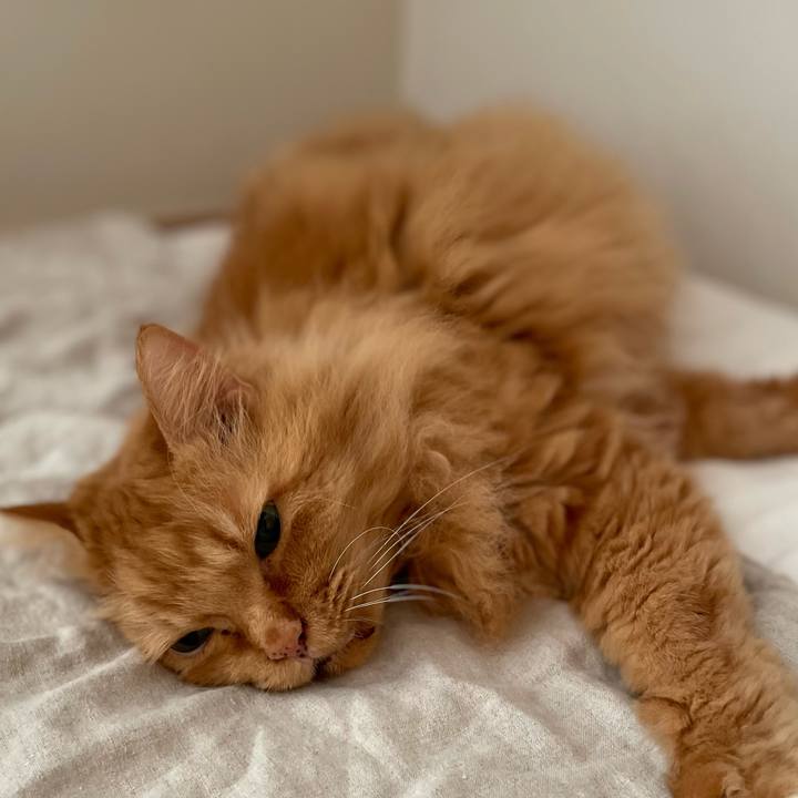 1b022516 f002 4c96 9b6a a97f15b0de2e 1753829018112