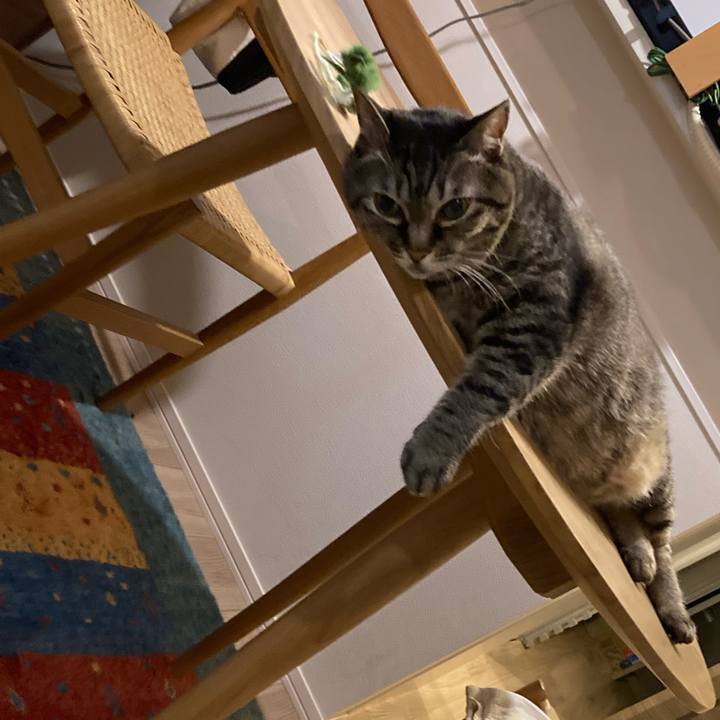 1b023242 d605 4297 8f30 88e4ece43e94 1755322372045