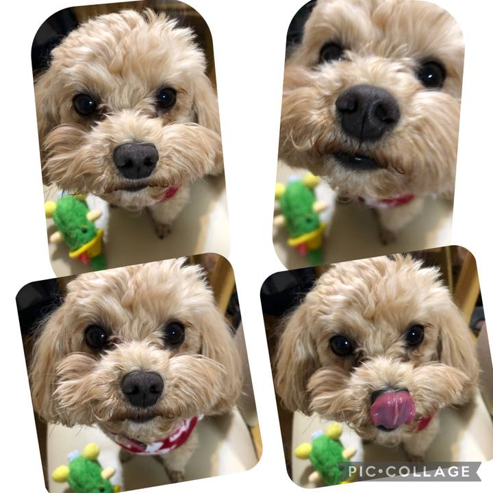 1b025ff9 be29 4f74 ae9b cc6f1e0d7a8e 1674344170010