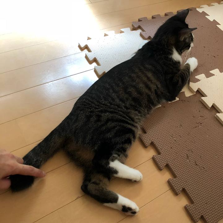 1b026973 38a4 4816 82a0 5fbb29cef4b8 1535893830186