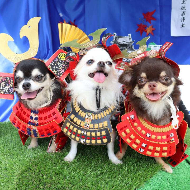 1b02cad8 3660 4527 b2a7 b0d892ff23c9 1761611137508