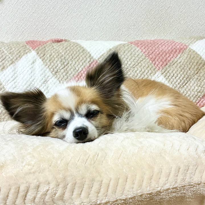 1b02cd81 1146 4519 b365 3de47f8eb971 1763481982414