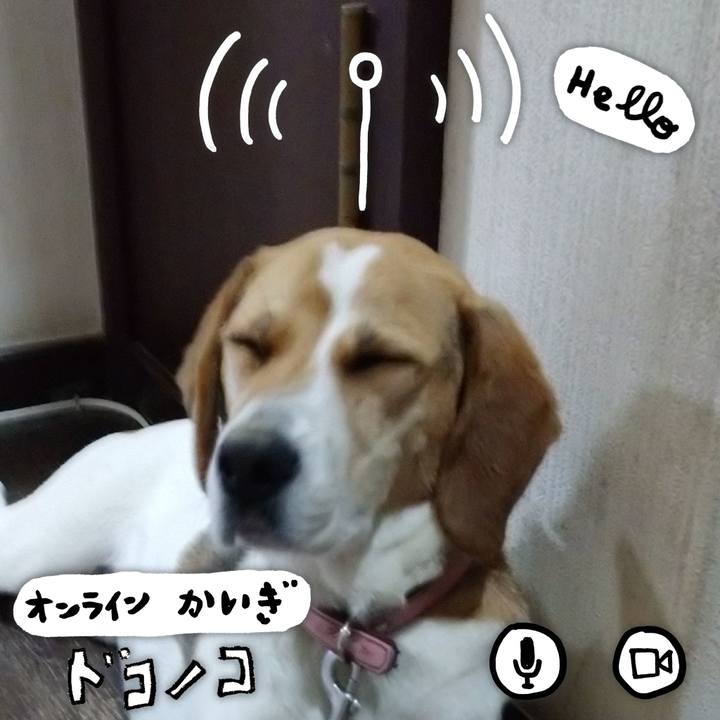 1b02e1f2 6e4b 4864 be78 ce1a9032c846 1593861057540