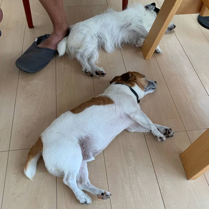 1b032a76 01be 4e85 b257 a71e58bac9f6 1627786807152