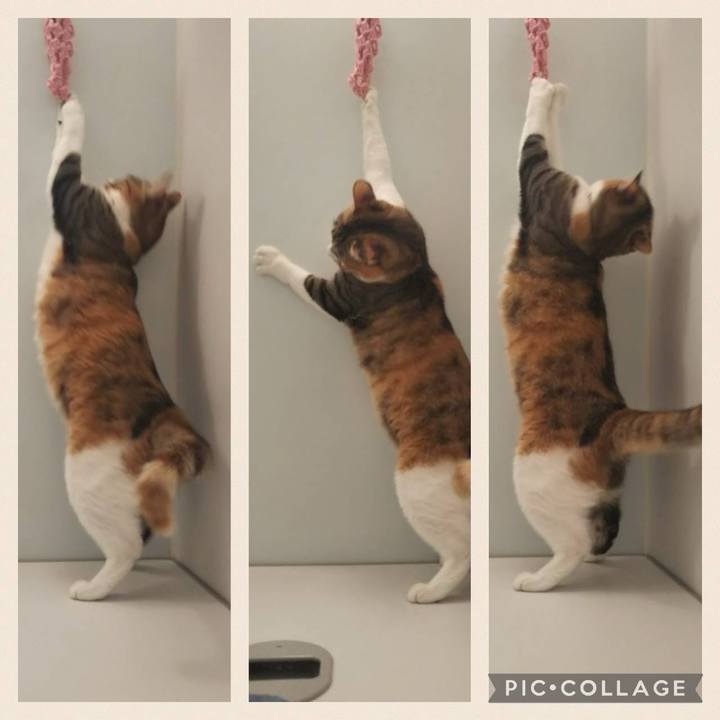 1b035d28 dfe8 47f0 8629 92507e47c74e 1728614621971