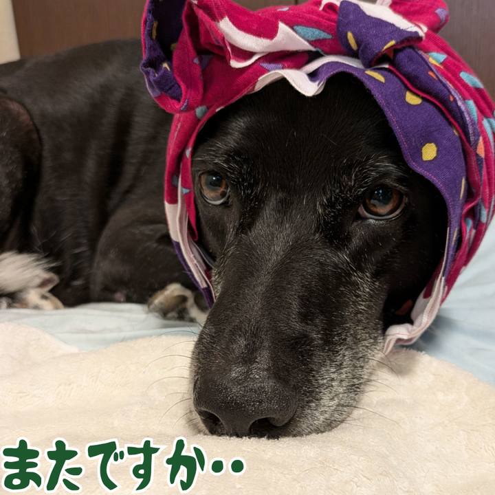 1b0364eb dfdc 4ad7 8e6c 87bc97dfee85 1724305347462