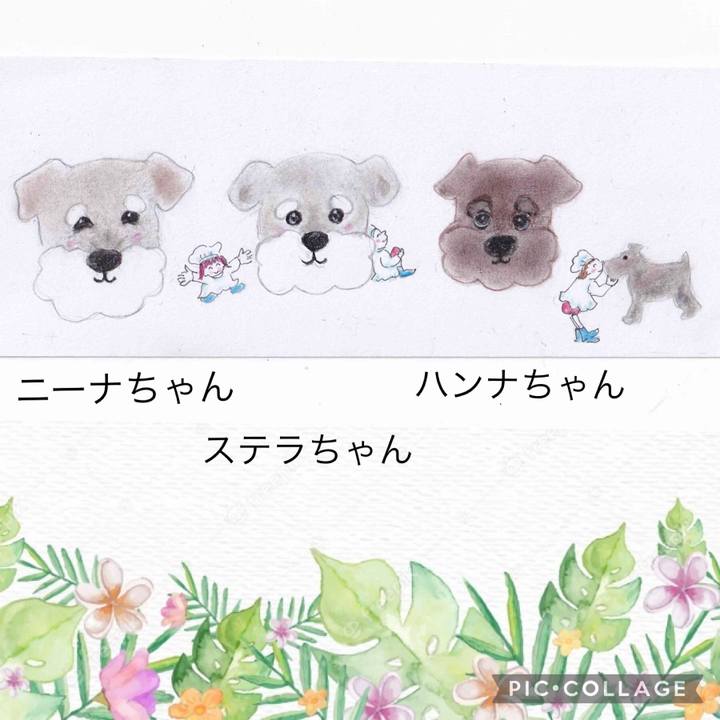 1b039cf5 cce6 4edc 80fc 33007174ee11 1628525403317