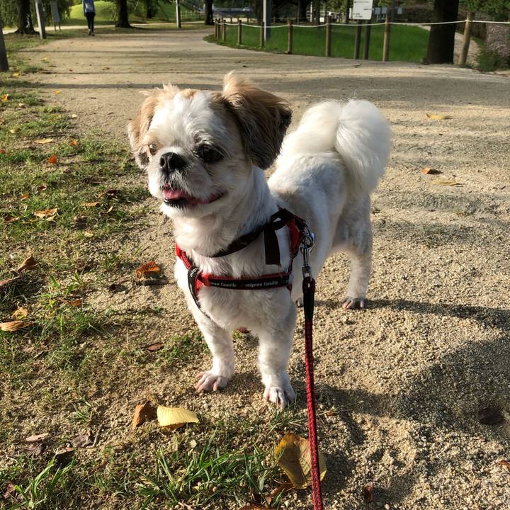 1b03fca9 27f7 47d0 9b47 0eb04b878338 1569030515388