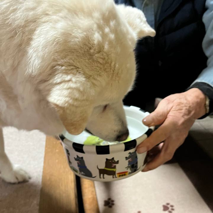 1b03ff0d 0f12 40d8 8f78 c5e2760aa6ab 1767150559541