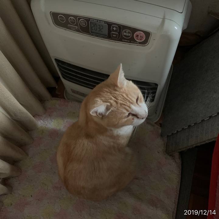 1b041162 2abc 4440 8e16 fbcaad9a0ae0 1576279964483