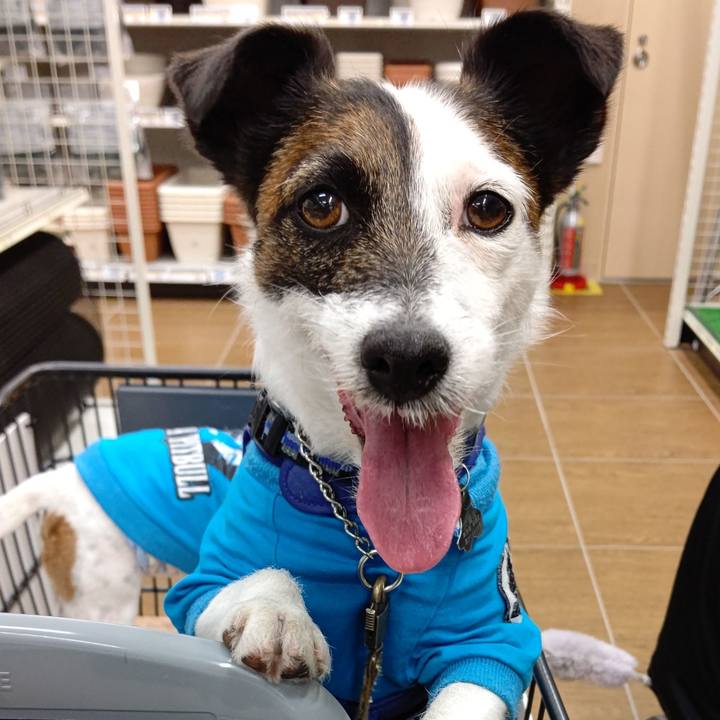 1b0433f7 181a 4ae1 88f7 4070477bebb0 1619253683042