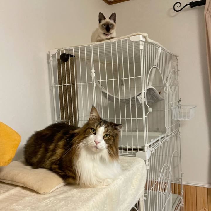 1b047b9c 9af8 4620 9263 076fea0c24dc 1695501963000