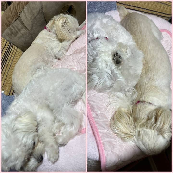 1b0487d2 9c3b 4685 a201 fd6e764a760e 1720273104569