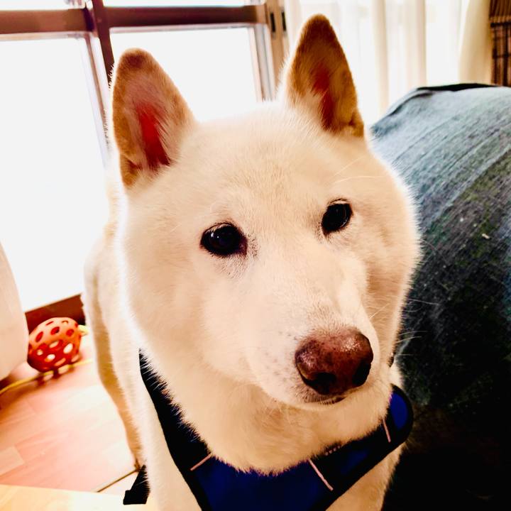 1b04a82c 3290 4c38 8325 a6e50783cf52 1647241745236