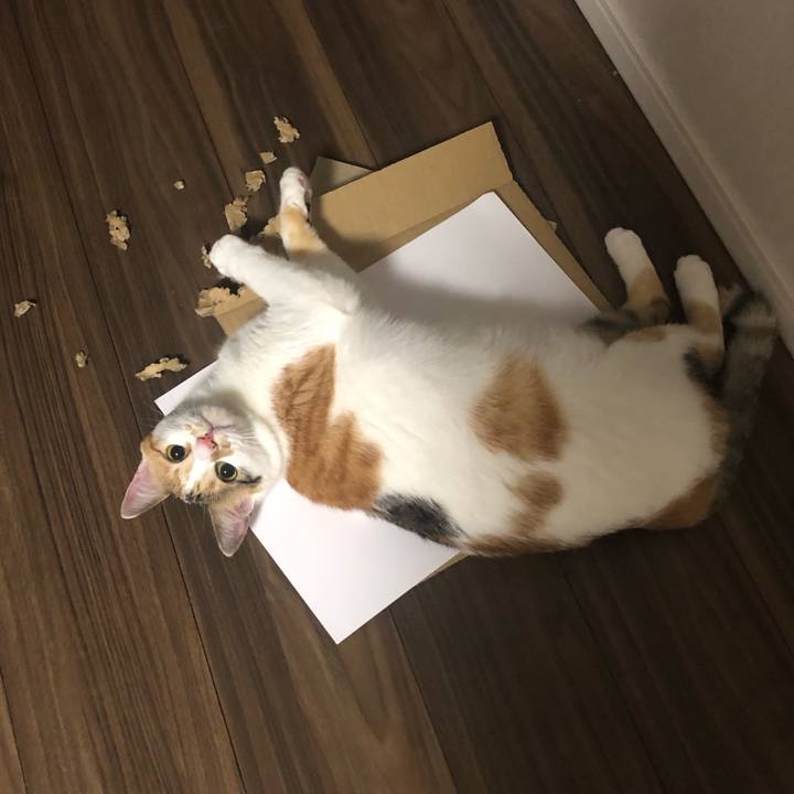 1b04d17e 0aeb 4204 88f2 378c95c1eb93 1590590080645