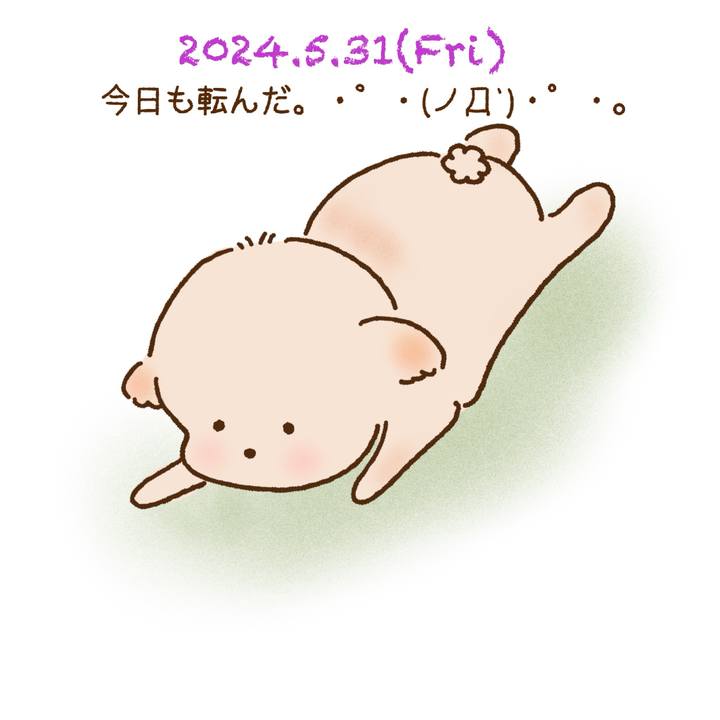 1b04dee4 70ec 459a a3c5 bbe28516102d 1717162408816