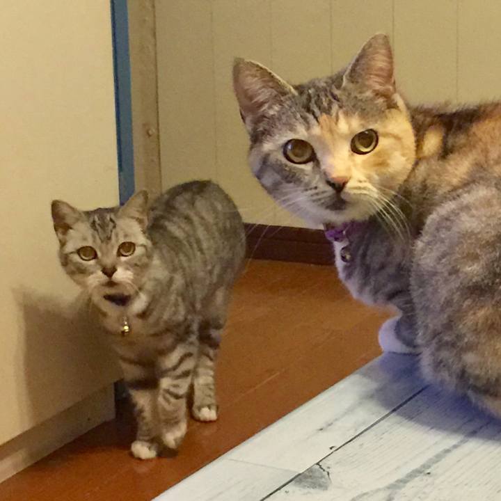 1b04ee9f 9094 46ab 9ded 32ed19076147 1559138891553