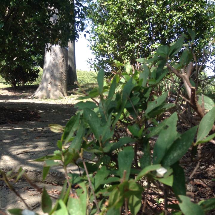 1b04f777 f083 4e26 a738 93a3bd464077 1537331332423