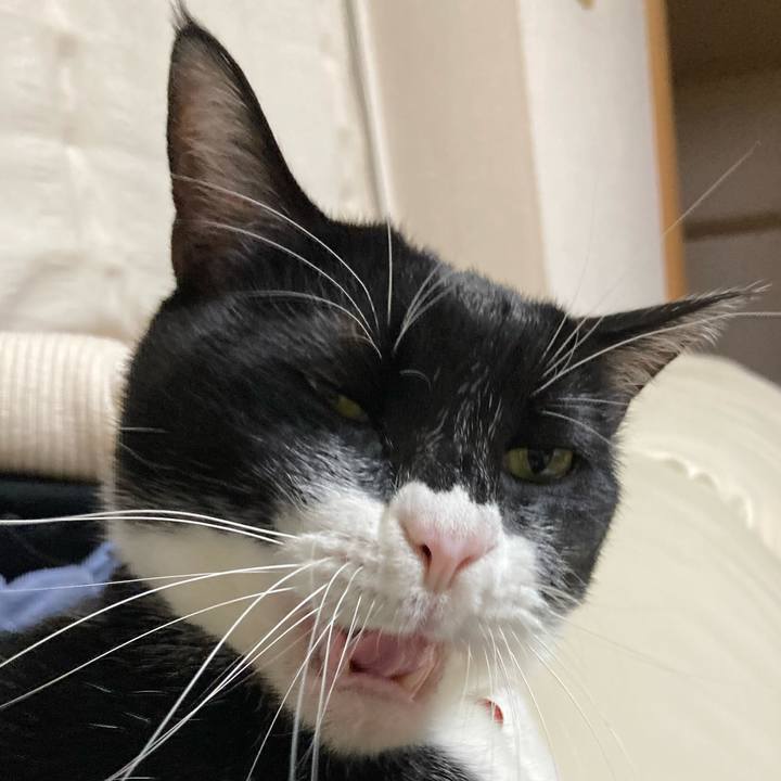 1b050035 c471 4c28 b567 f4345e393d1d 1671712431211