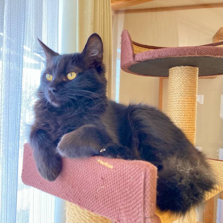 1b050d6a 6657 485a a00e 6e31264e6d77 1709432373891