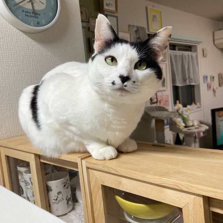 1b0521fe 1937 47be 83c0 3ead85db5829 1773693948989