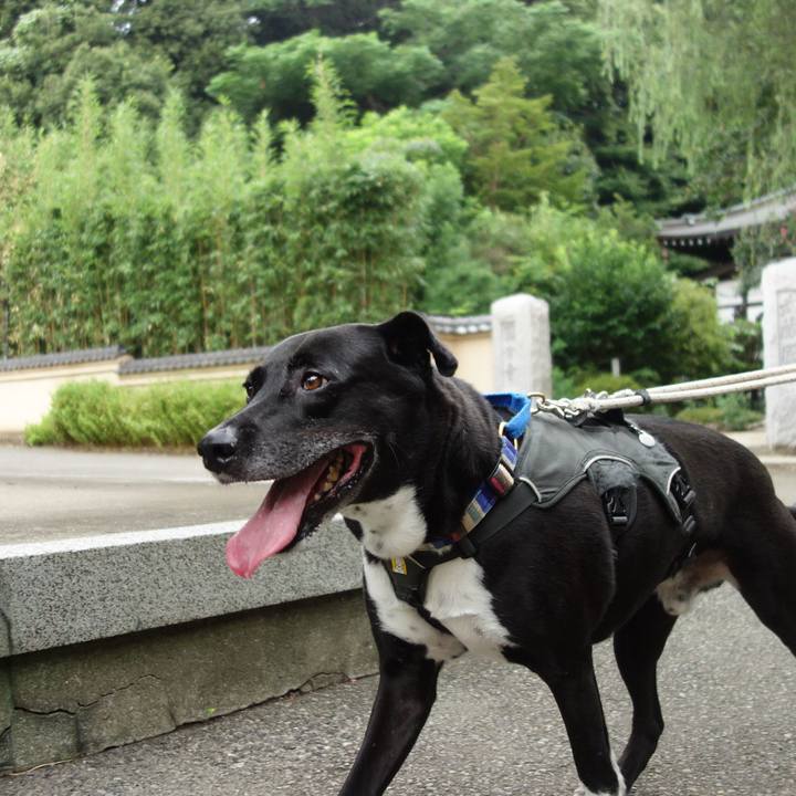 1b052b40 a8b8 4699 88bd 3abc044e4c1e 1660608464861