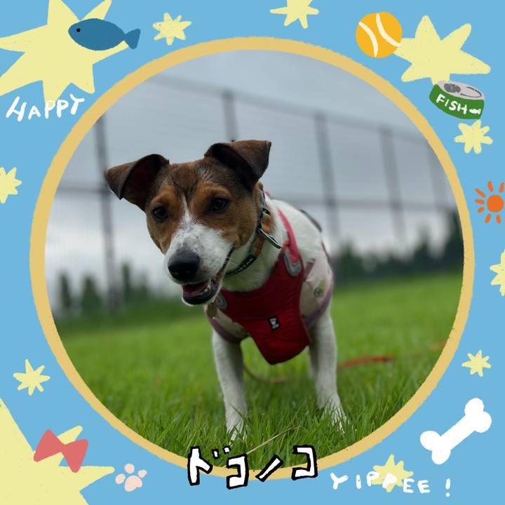 1b054da6 5de8 4122 b493 31211f3e0019 1721087407030