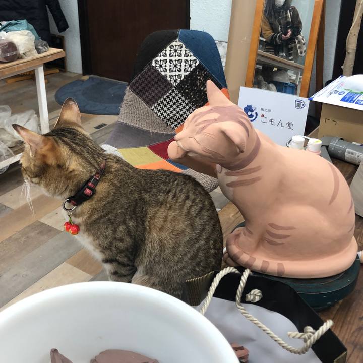 1b058b0f 9ad1 4306 b2da b9c989593db1 1647164322724